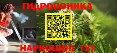амф Чебоксары